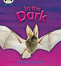 Bug Club Phonics ? Phase 3 Unit 10: In the Dark