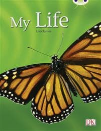 Bug Club Guided Non Fiction Year 1 Yellow C My Life