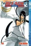 Bleach 33