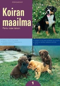 1:Pentu tulee taloon