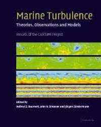 Marine Turbulence