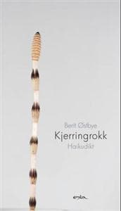 Kjerringrokk