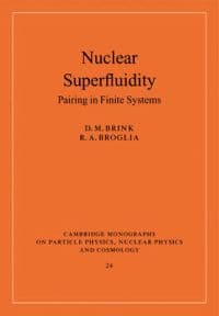 Nuclear Superfluidity