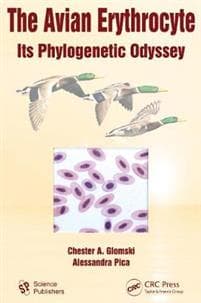 The Avian Erythrocyte