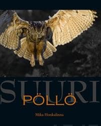 Suuri pöllö