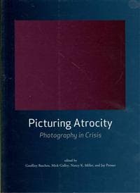 Picturing Atrocity