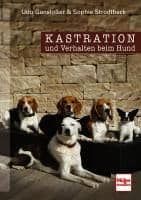 Kastration und Verhalten beim Hund - Eine Entscheidungshilfe