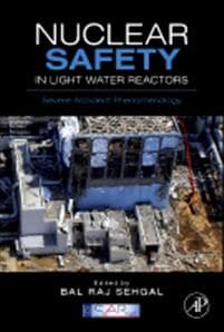 Nuclear Safety in Light Water Reactors