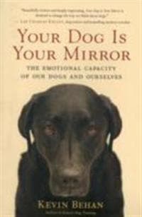 Your Dog Is Your Mirror