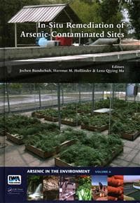 In-Situ Remediation of Arsenic-Contaminated Sites