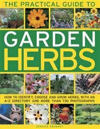 Practical Guide to Garden Herbs