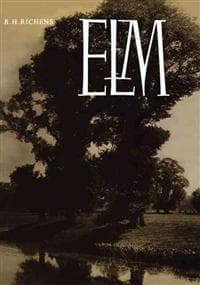 Elm
