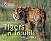 Tigers in Trouble