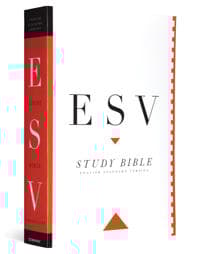 ESV Study Bible, Personal Size
