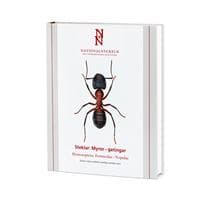 Steklar : myror - getingar. Hymenoptera : formicidae - vespidae