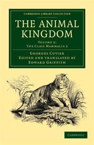 The Animal Kingdom