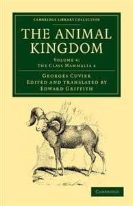 The Animal Kingdom