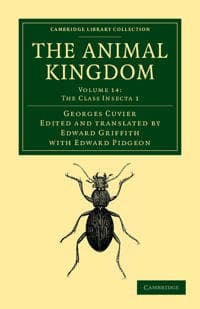 The Animal Kingdom