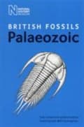 Miniatyrbilde 2 av 2: British Palaeozoic Fossils