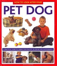 How to Look After Your Pet Dog