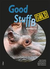 Good Stuff Gold B workbook