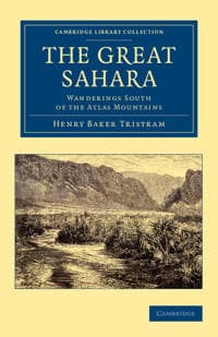 The Great Sahara