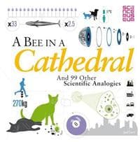 A Bee in a Cathedral