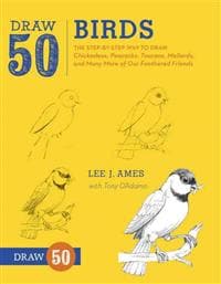 Draw 50 Birds