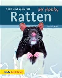 Spiel und Spaß mit Ratten