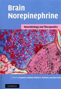 Brain Norepinephrine
