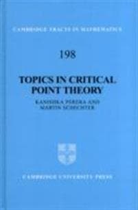 Topics in Critical Point Theory