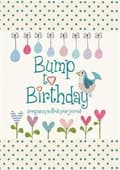Miniatyrbillede 2 af 2: Bump to Birthday, PregnancyFirst Year Journal