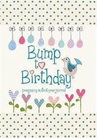 Bump to Birthday, PregnancyFirst Year Journal