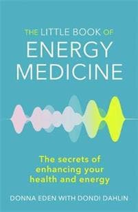 Little Book of Energy Medicine