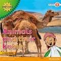 Miniatyrbild 2 av 2: My Gulf World and Me Level 2 non-fiction reader: Animals and their babies