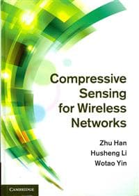 Compressive Sensing for Wireless Networks