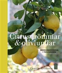 Citrusdrömmar & olivlundar : medelhavskänsla i trädgården