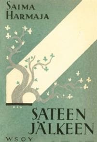 Sateen jälkeen (näköispainos)