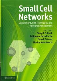 Small Cell Networks