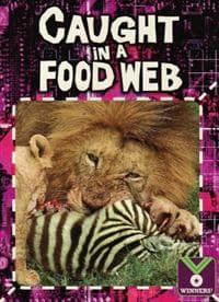 Caught in a Food Web