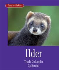 Ilder