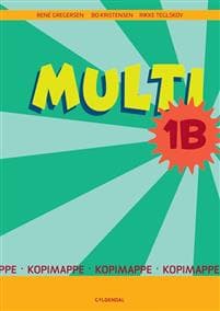 MULTI 1B