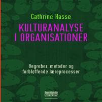 Kulturanalyse i organisationer
