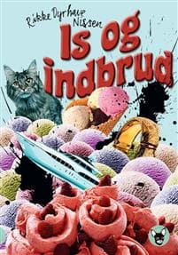 Is og indbrud