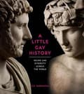 Miniatyrbilde 2 av 2: Little Gay History