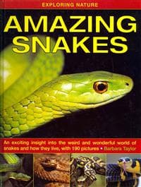 Exploring Nature: Amazing Snakes