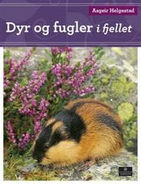 Dyr og fugler i fjellet