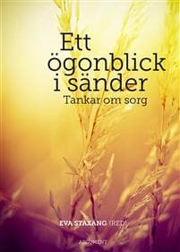 Ett ögonblick i sänder : tankar om sorg