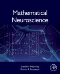 Mathematical Neuroscience