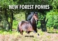 Miniatyrbild 2 av 2: Spirit of New Forest Ponies